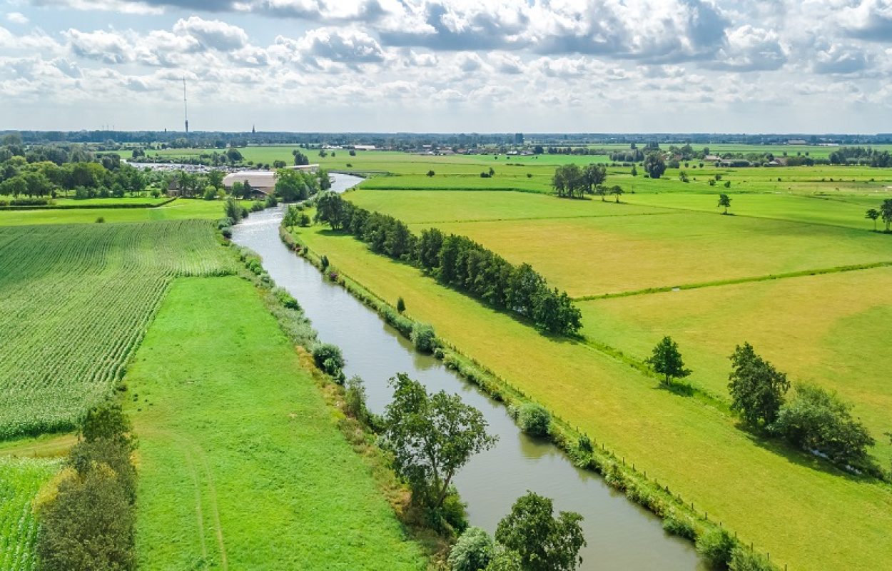 shutterstock_1508421206-qsklbvt393j09vnqjkcorh97sgadmsi7nmd5o2btfk ESQ Quickscan